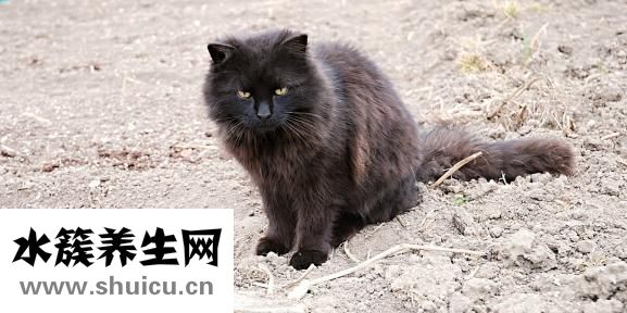 腋下有腫塊