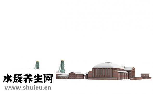 胎記治療費用