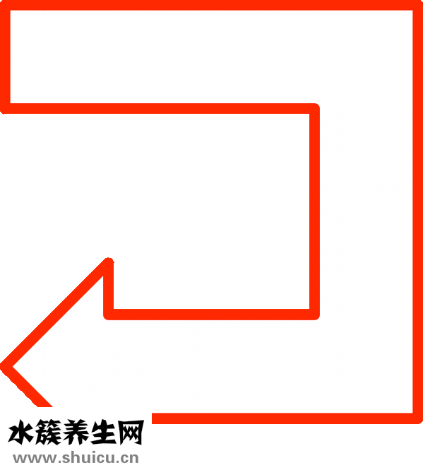 血小板是什么