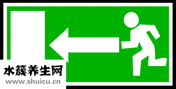 野山參價格