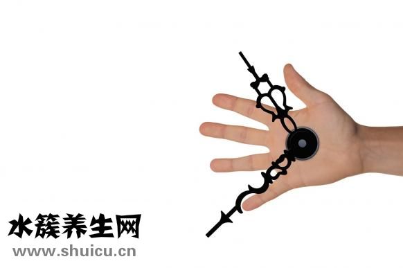酸菜的熱量