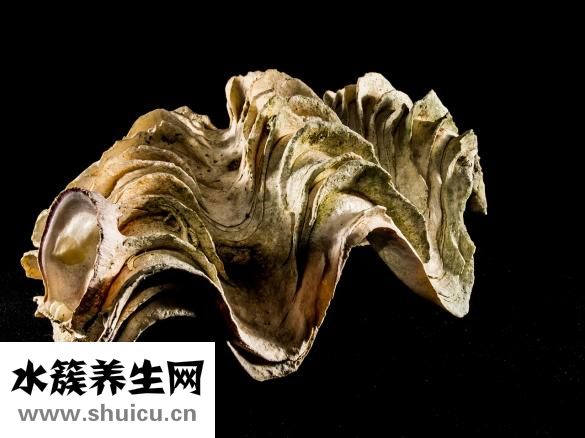 牙膏會過期嗎