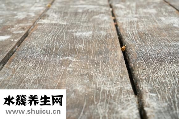 鼻尖美容術