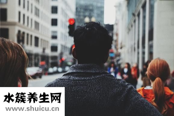 香菇燉雞面