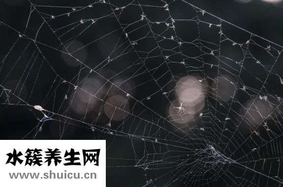 胸外按壓頻率
