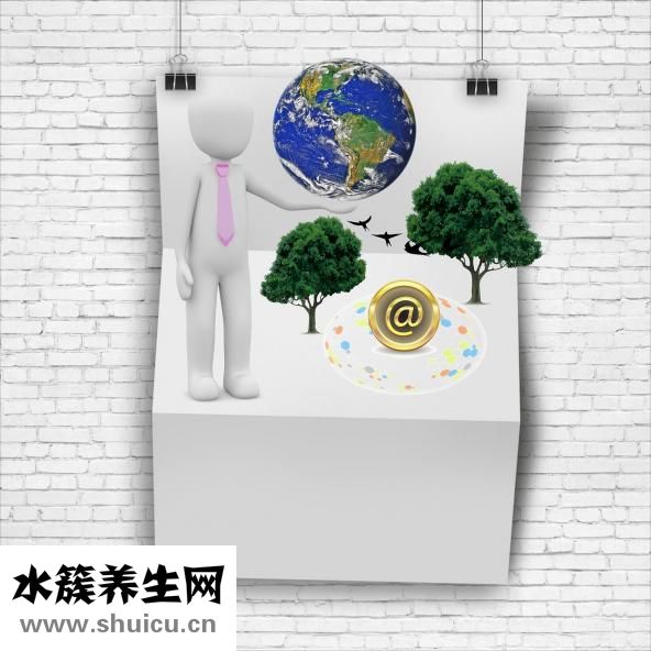 瑜伽體式大全
