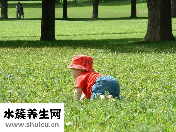 雪山胃寶膠囊