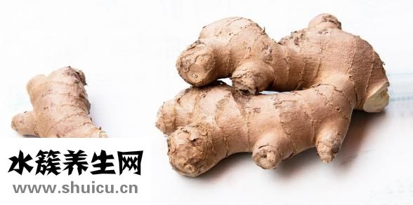 蘇子粉是什么調料