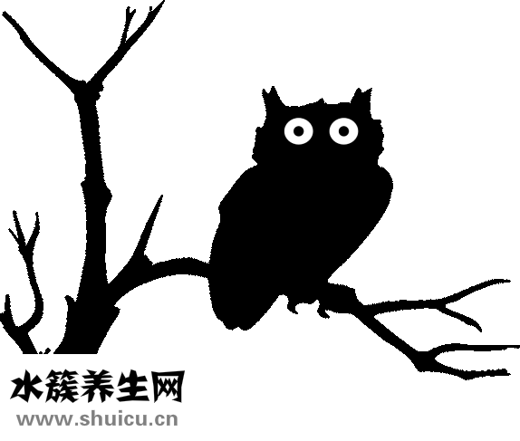 有效眼部去皺