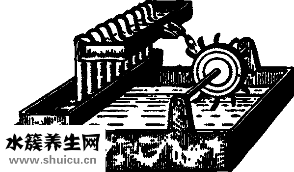 手腕是哪個部位