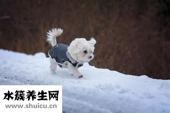 蟹黃醬怎么吃
