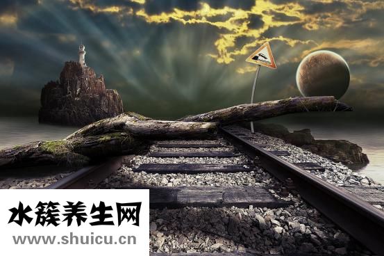 脫發的頭發