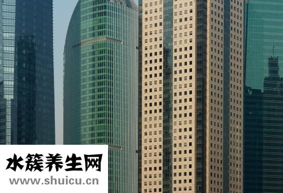 蝦皮怎么吃