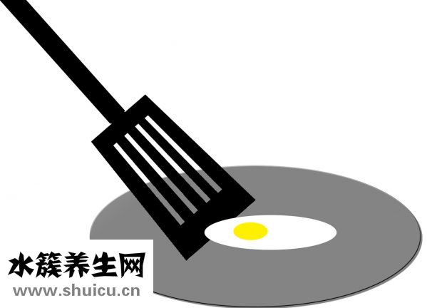 鸚鵡蛋能吃嗎