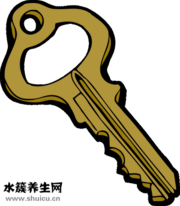胎盤有什么用