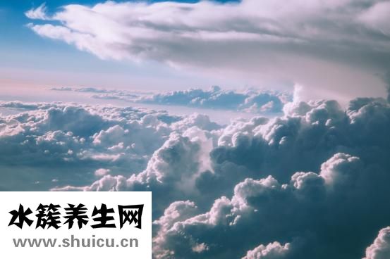 睡眠型癲前兆