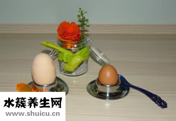 鸚鵡蛋能吃嗎