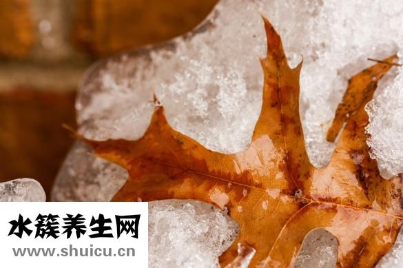 蝦皮怎么吃