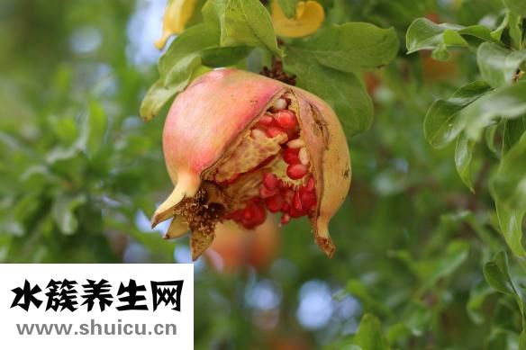 怎么快速變白