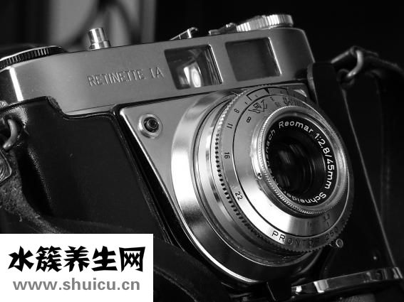 什么的眼睛