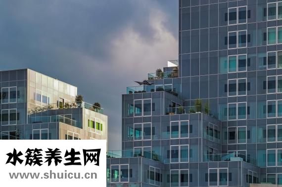 人是怎么來的
