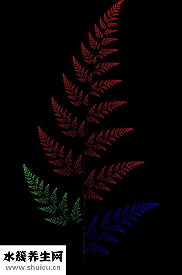 口腔潰瘍吃什么