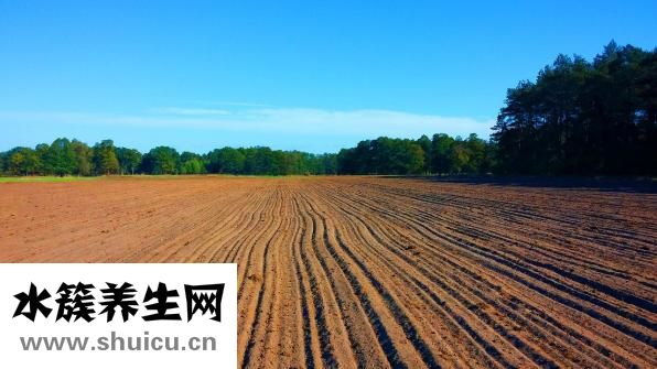 烏江在哪里