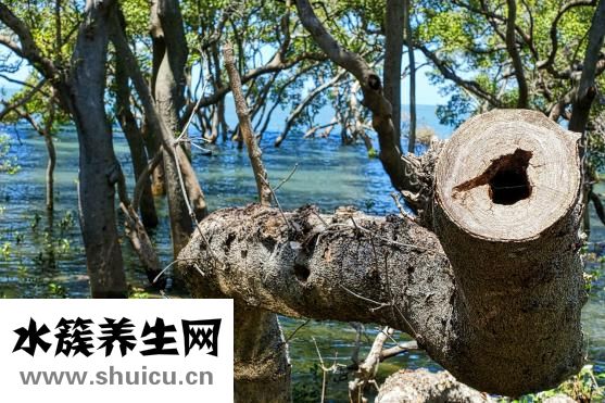 卷發怎么打理