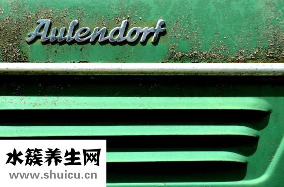 如何治療口臭