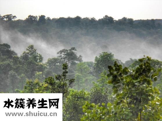 卷發怎么打理