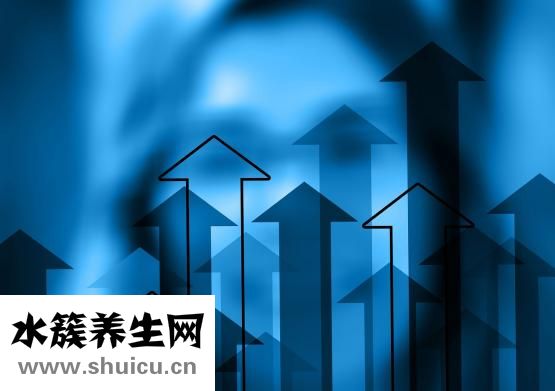 如何科學減肥