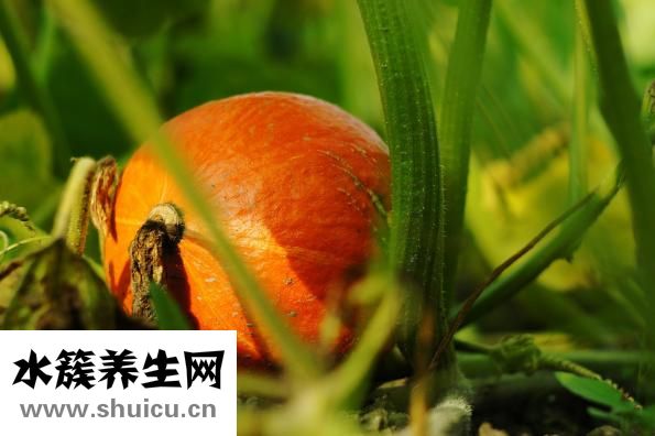 怎么快速變白