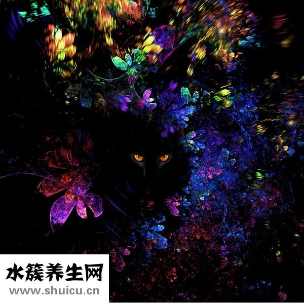 什么的眼睛