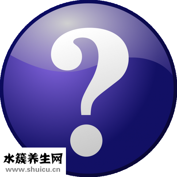頭發少適合什么發型