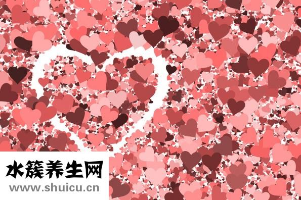 低血壓怎么辦