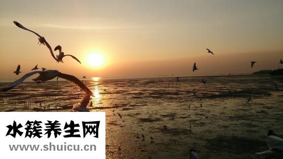 呼啦圈怎么轉