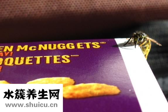 怎么做壽司