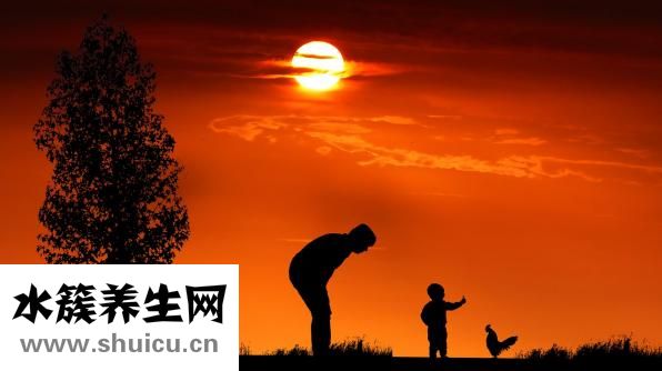 怎么養肝護肝