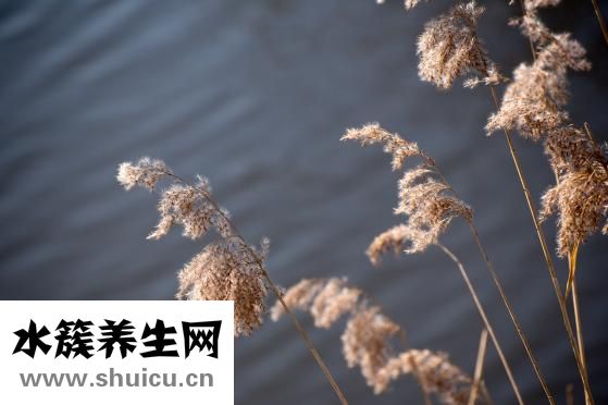 什么是物理
