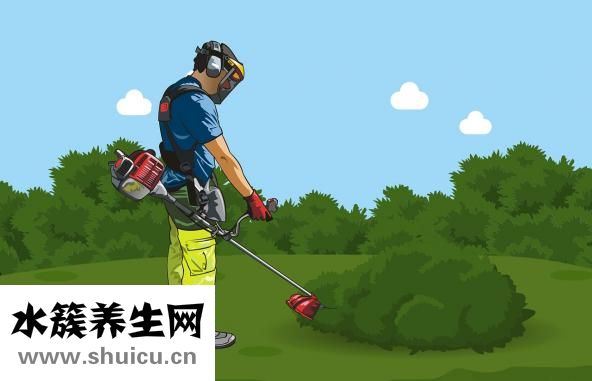 怎么快速減肥