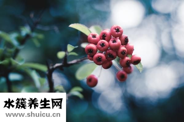 怎么做壽司