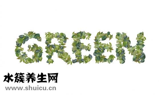 君子蘭怎么養