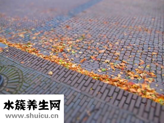 怎么炸薯條