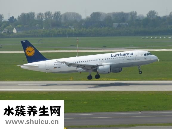 怎么坐飛機
