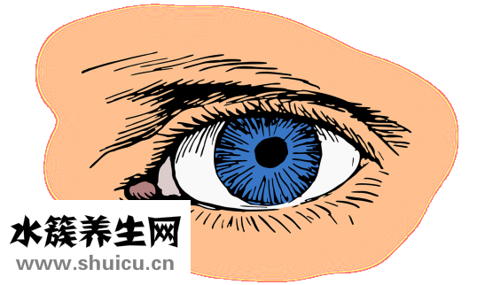 什么是物理