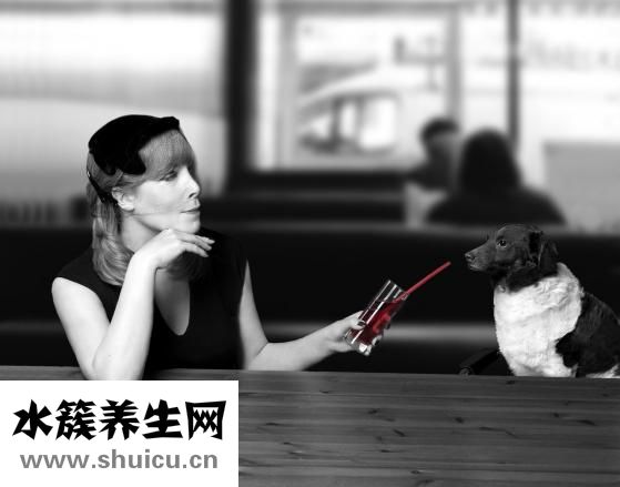 如新怎么樣