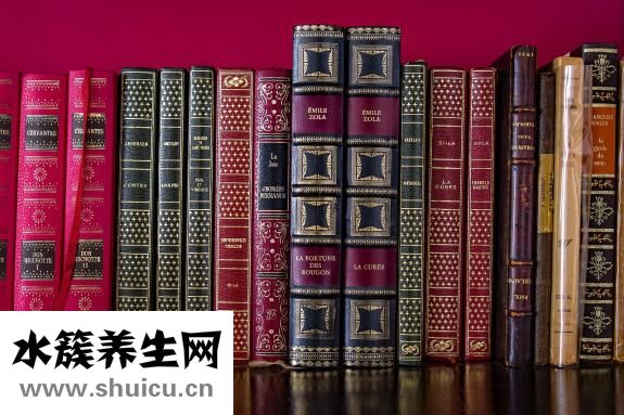 兵馬俑在哪里