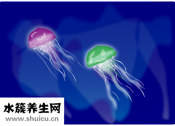 可樂雞翅怎么做好吃