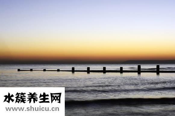 什么是敗血癥