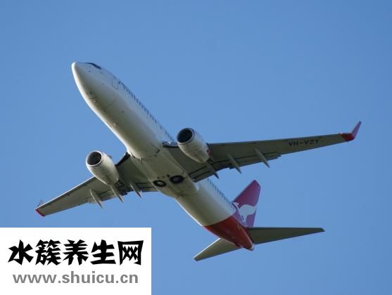 坐飛機耳朵疼怎么辦